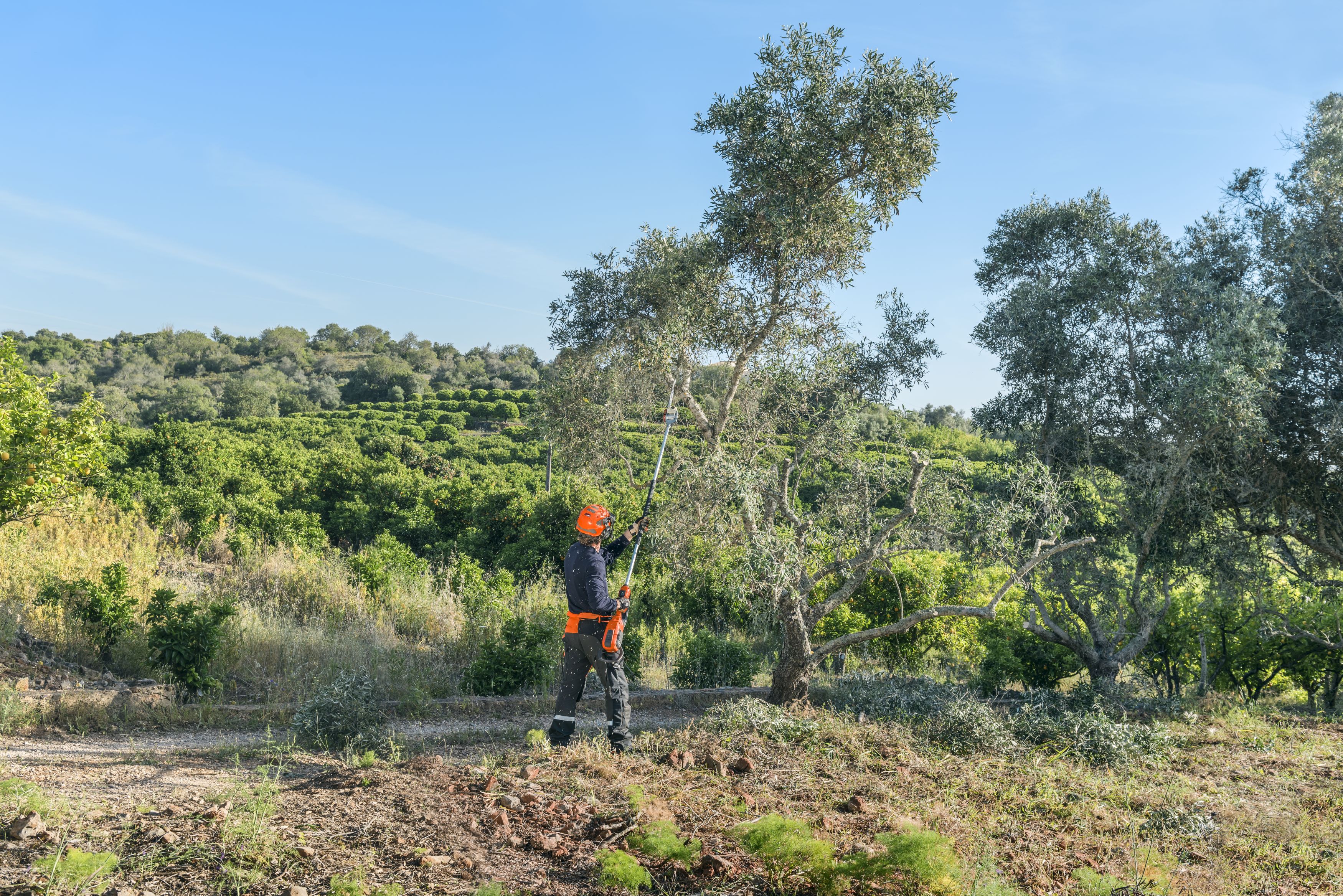 536LiP4_darbībā-lv